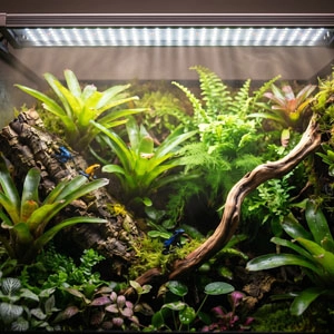 Terrarium planung,